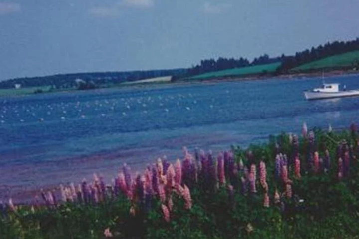 Beach 8 of 8