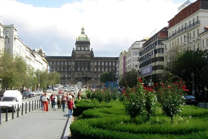 Photo 8