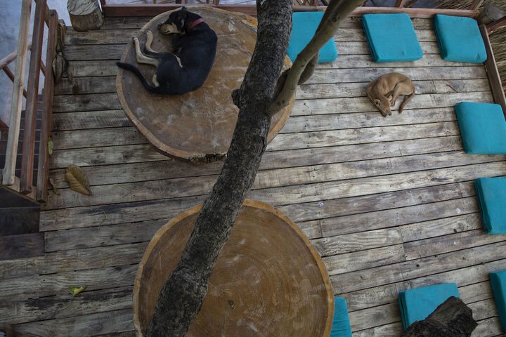 Terrace/Patio 11 of 33