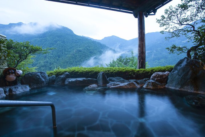 Wellness Treatments