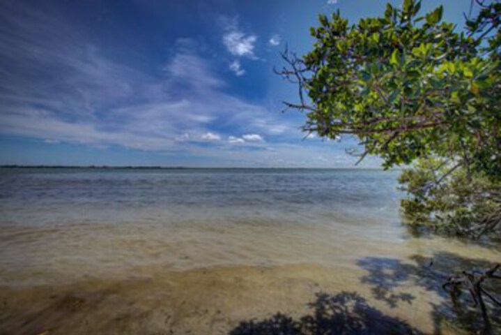 Beach 55 of 225