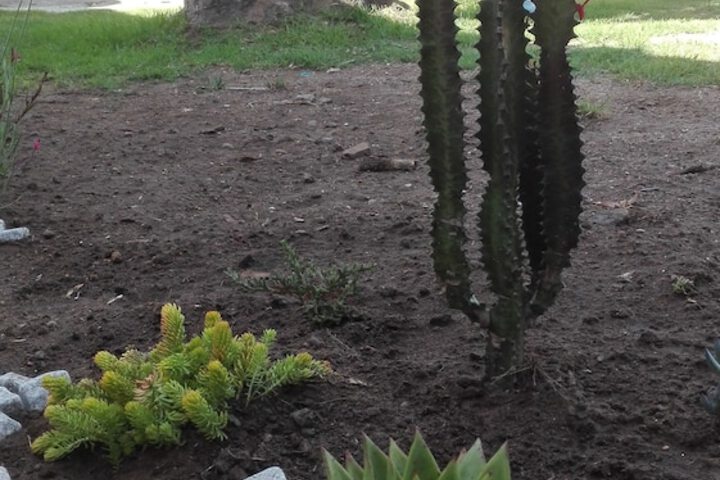 Hotel Exterior 2 of 39