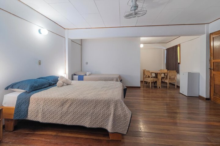 Room 39 of 61