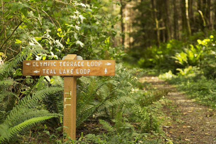 Outdoor Activities 17 of 63