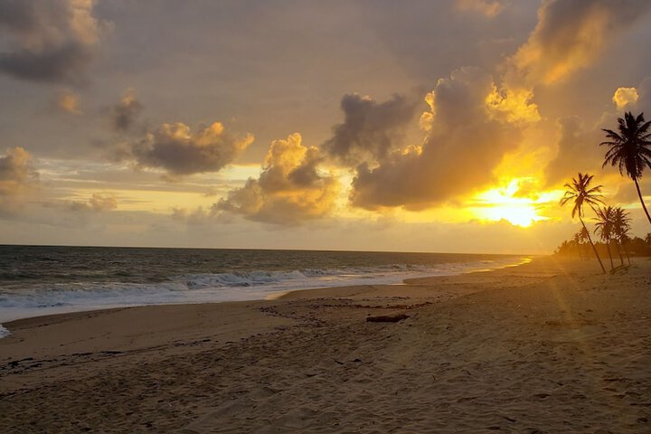 Beach 26 of 32