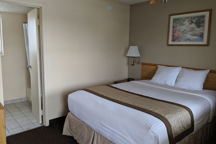 1 King Bed (1 of 6)