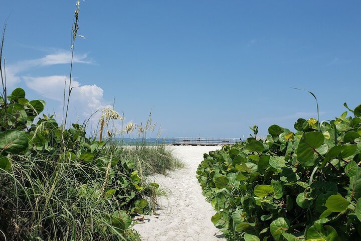 Beach 7 of 16