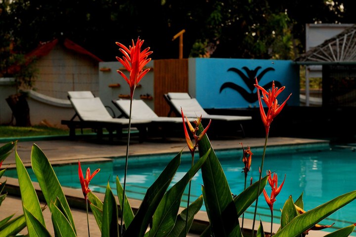 Hotel Pool
