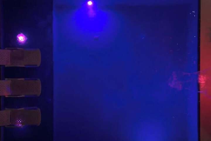 Hotel 20 of 21