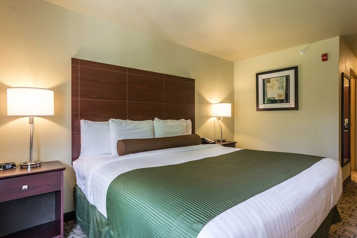 1 King Bed (5 of 8)