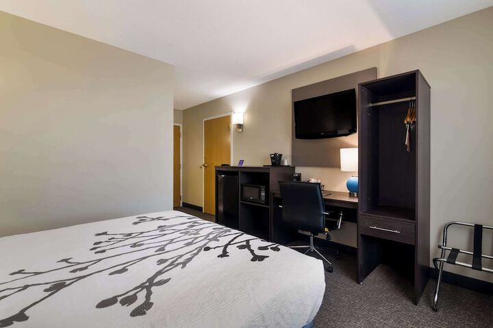 1 Queen Bed (4 of 13)