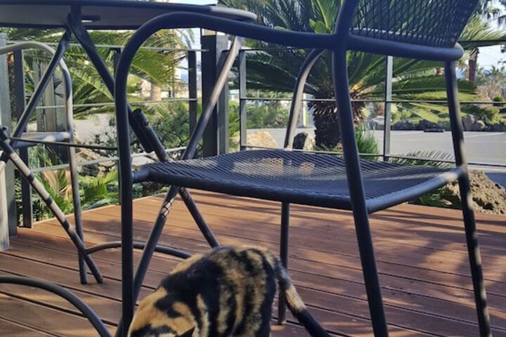 Terrace/Patio 19 of 45