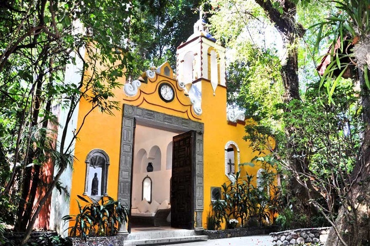 La Casa De Los Arboles