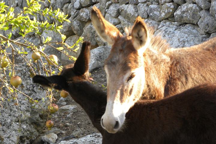 Ecotours