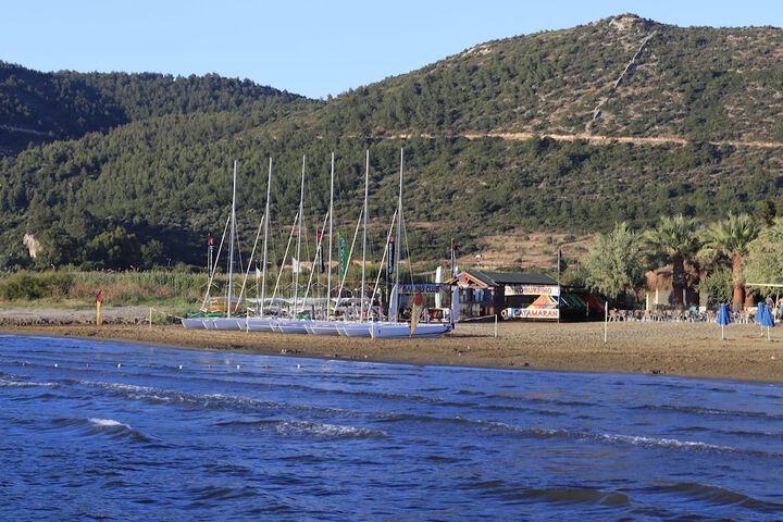 Beach 165 of 202