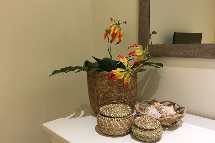 Image of Curacao Gardens