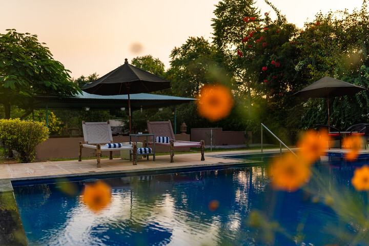 Pool 17 of 27