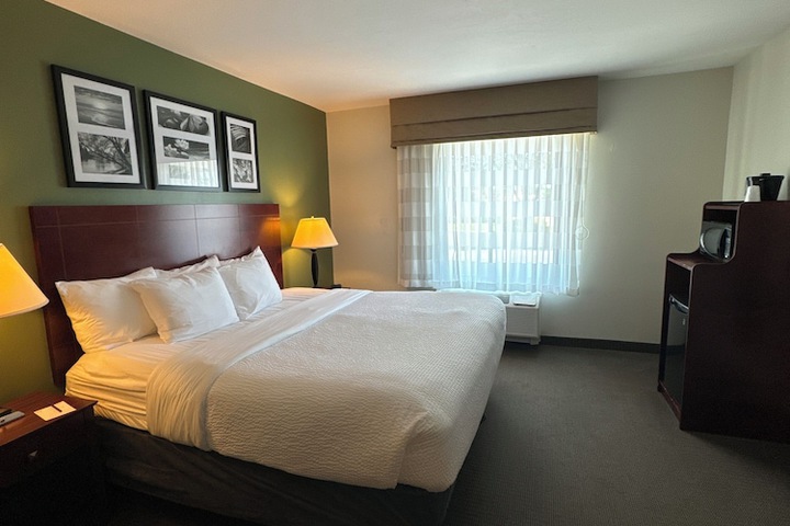 1 King Bed (14 of 22)