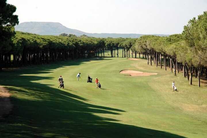 Golf 33 of 43