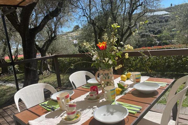 Spa and Wellness Pictures