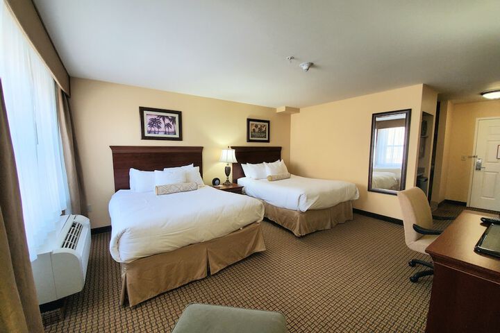 Executive 2 Queen Beds (2 of 7)