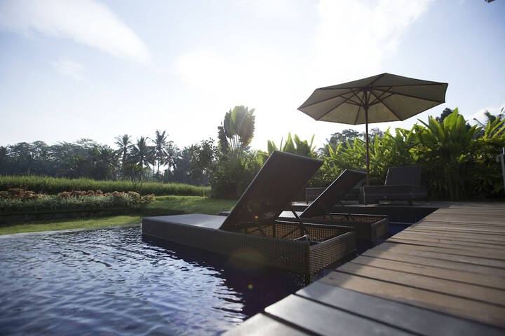 Pool 40 of 113