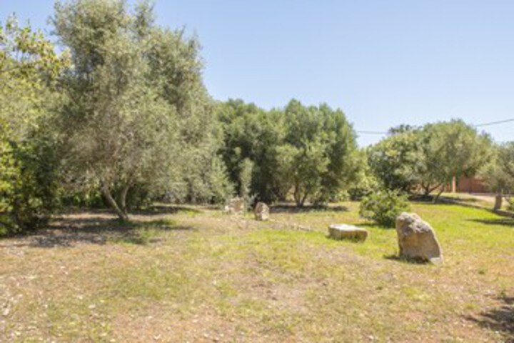 Property Grounds 23 of 31