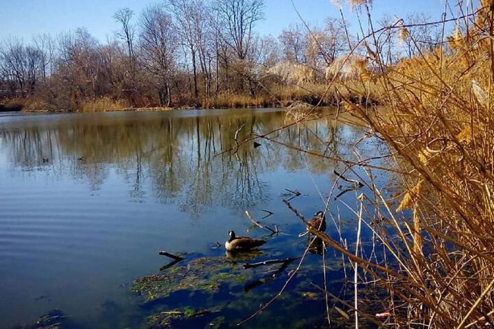 Property Grounds 28 of 28