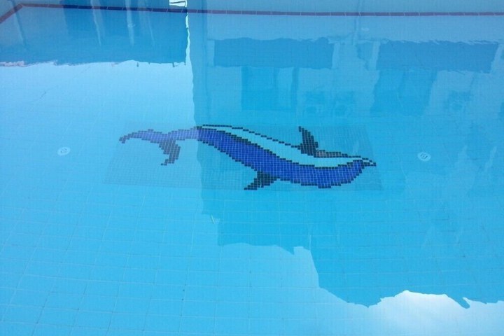 Pool 22 of 36