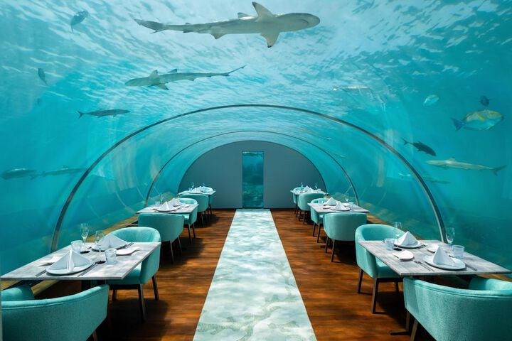 Dining 182 of 215