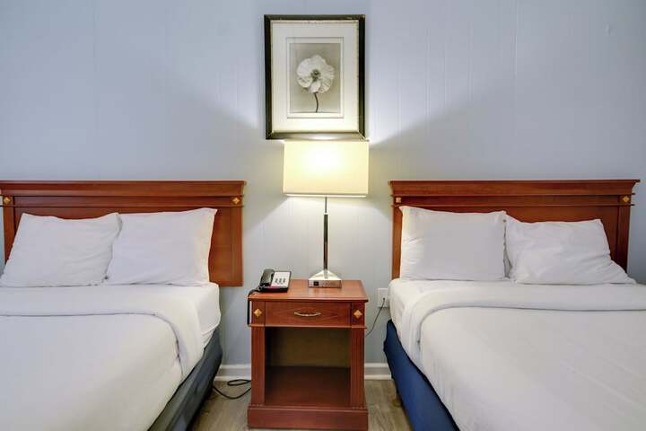 Room 4 of 59