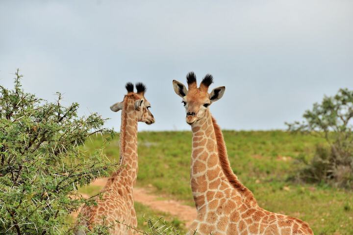 Hotel View 36 of 62