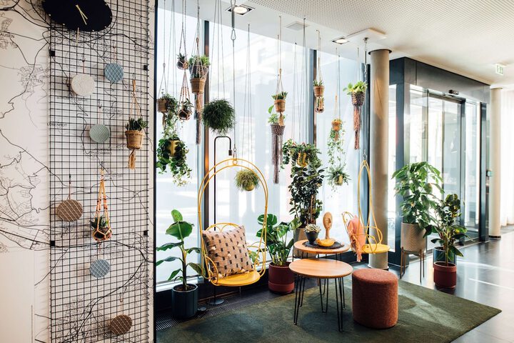 Entrance & Lobby