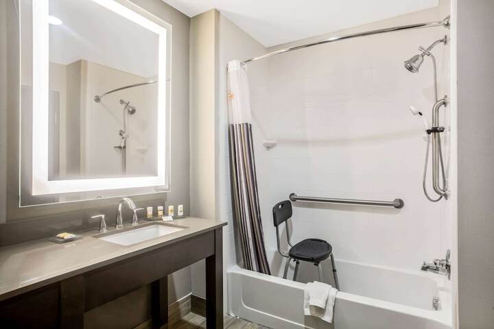 1 King Bed Accessible (3 of 17)