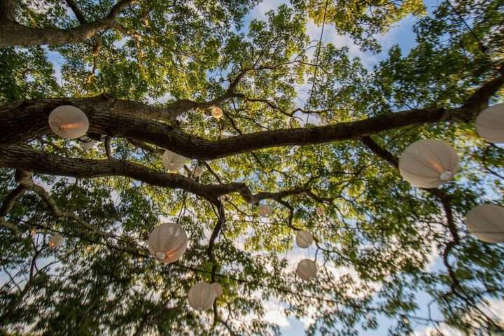 Property Grounds 21 of 28