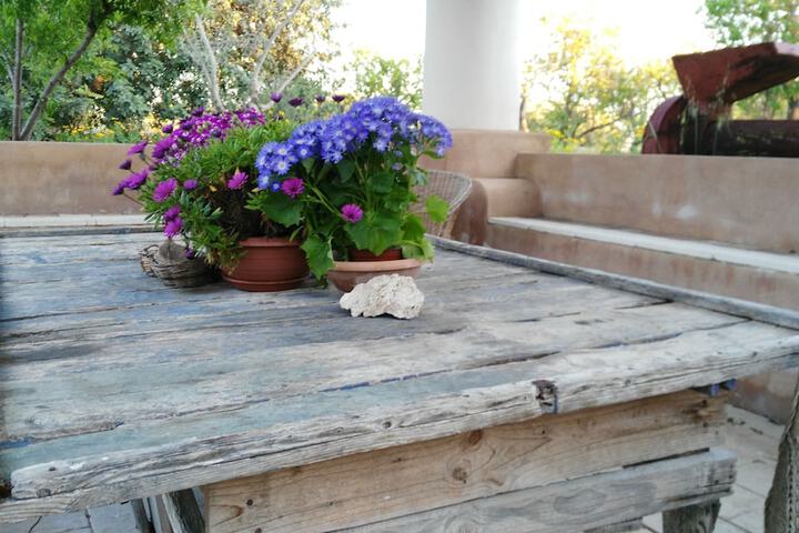 Terrace/Patio 21 of 27