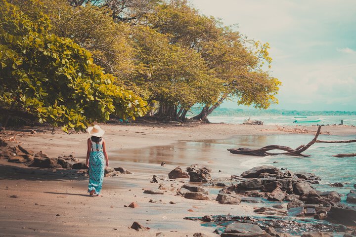 Beach 82 of 105