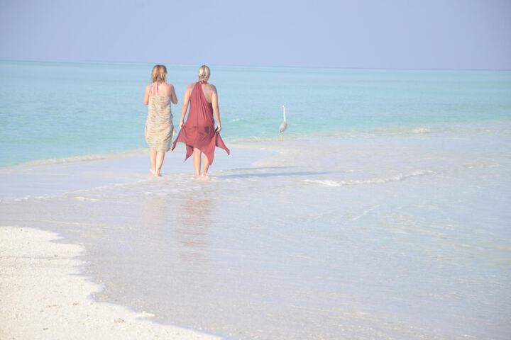 Beach 52 of 76
