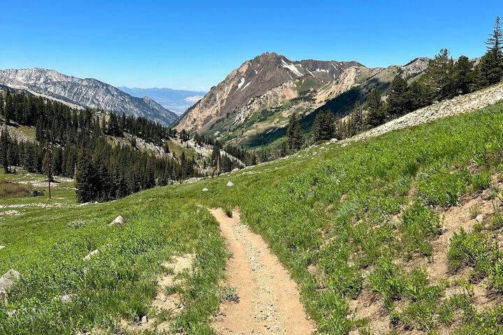 Hiking