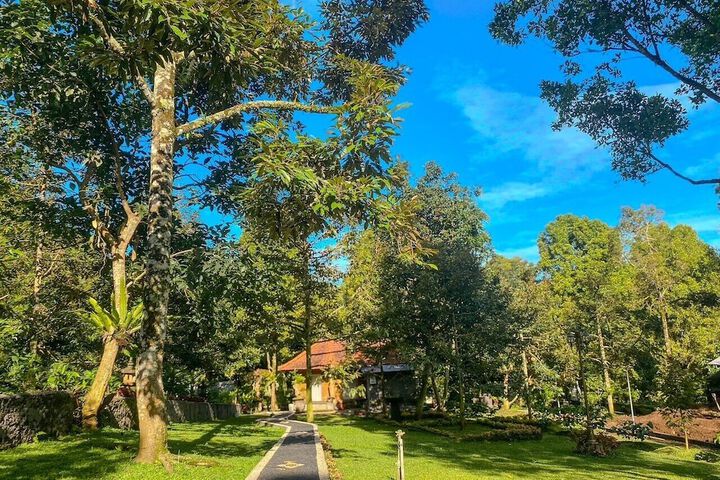 Property Grounds 19 of 26