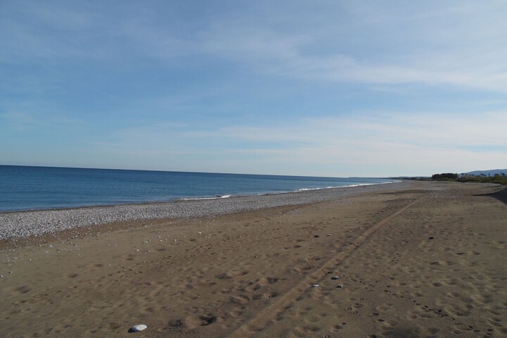 Beach 63 of 84