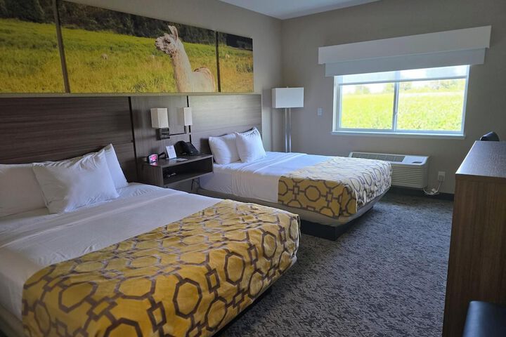 Room 16 of 65