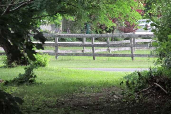 Property Grounds 29 of 46