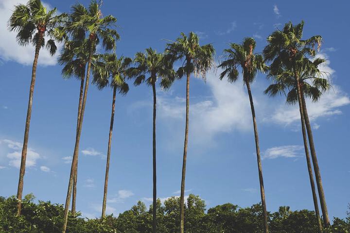 Hotel Interior 20 of 29