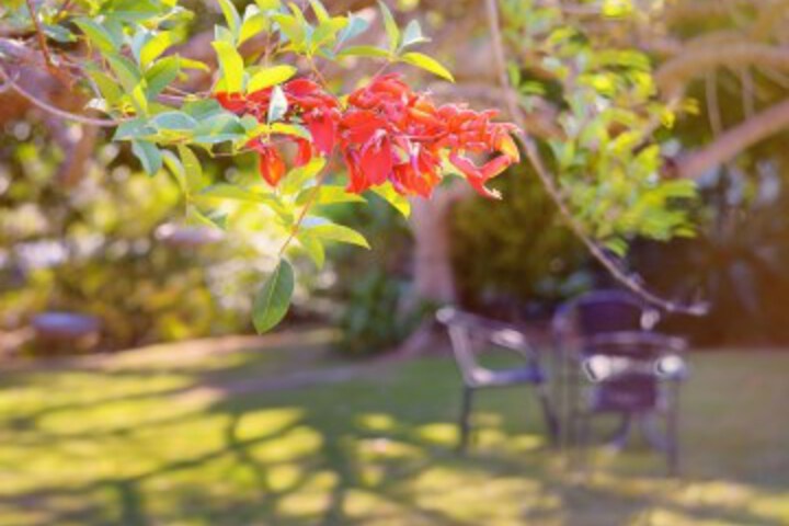 Hotel Exterior 86 of 99