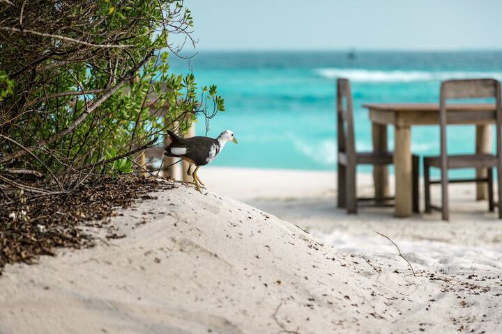 Beach 347 of 376