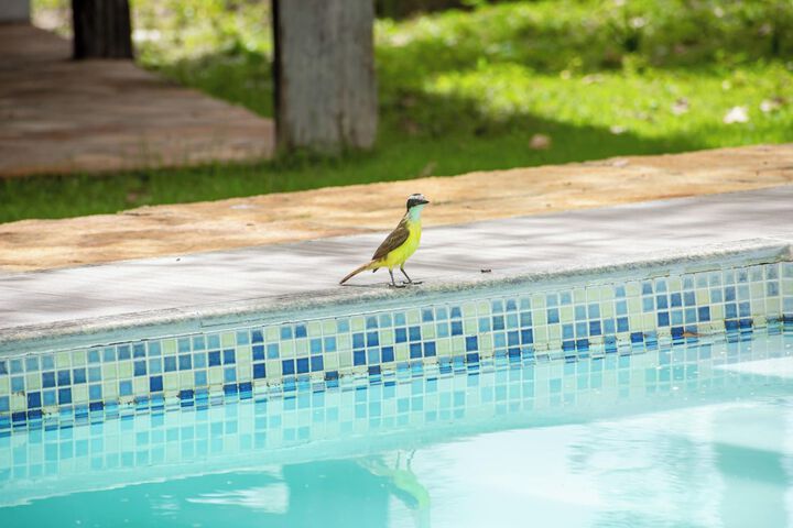 Pool 26 of 51