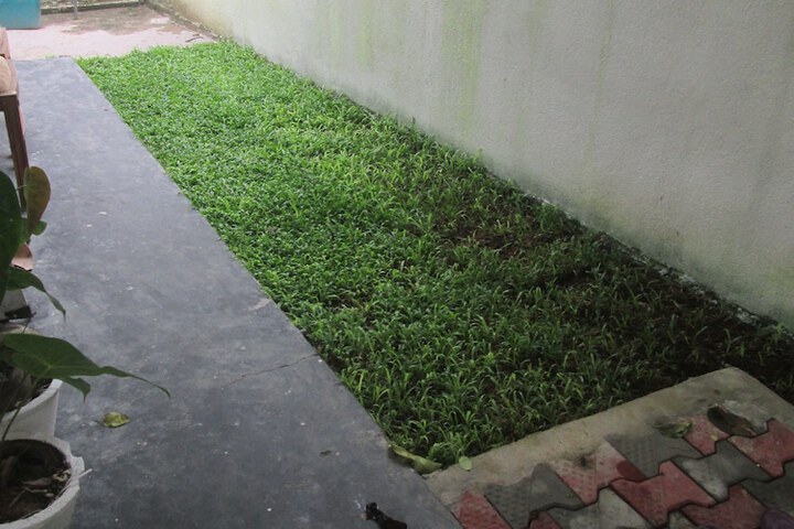 Property Grounds 23 of 33
