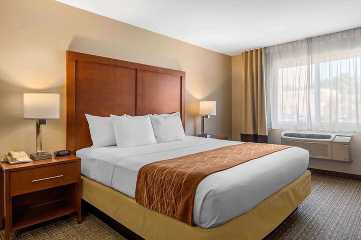 Standard | King Bed (1 of 21)
