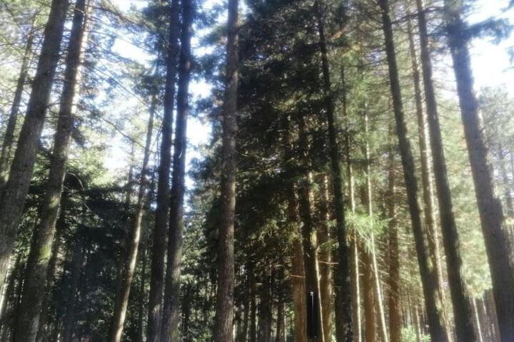 Photo 28